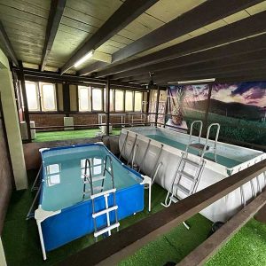 Homestay ada kolam renang Kuala Kangsar Perak